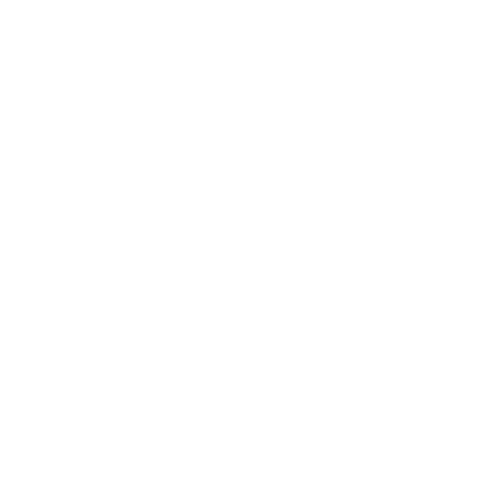 Digital Venture