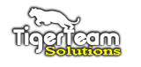 Tiger Team Solution LLC