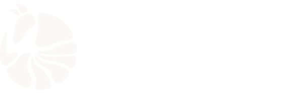 Armadillo Web Design