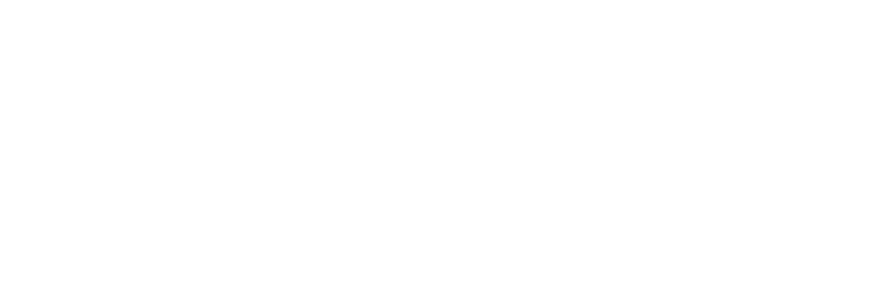 Schmidt, Sethi & Akmajian Attorneys